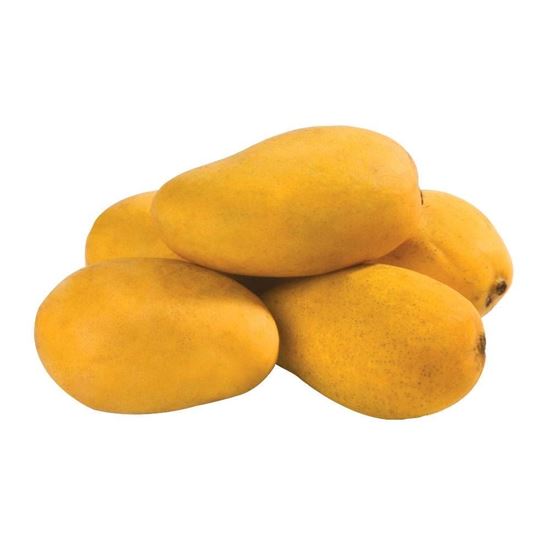 MANGO ATAULFO MARATON MEXICO #14-16