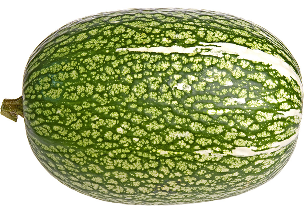 CHILACAYOTA 35 LBS