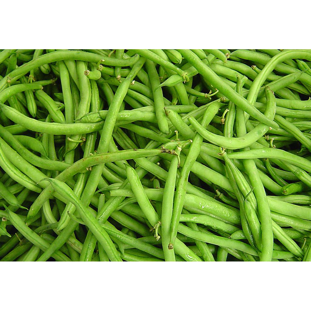 EJOTE PLASTICO 22 LBS