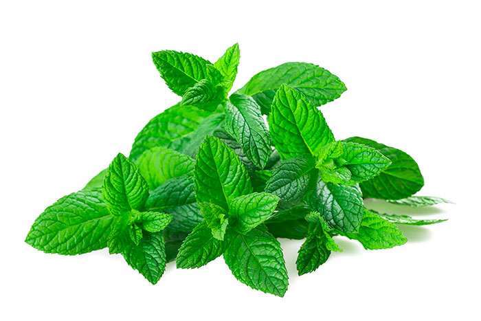 MINT #24 BUNCH