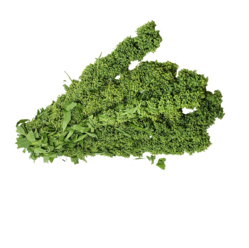 HUAZONTLES 20 BUNCHES PLASTICO