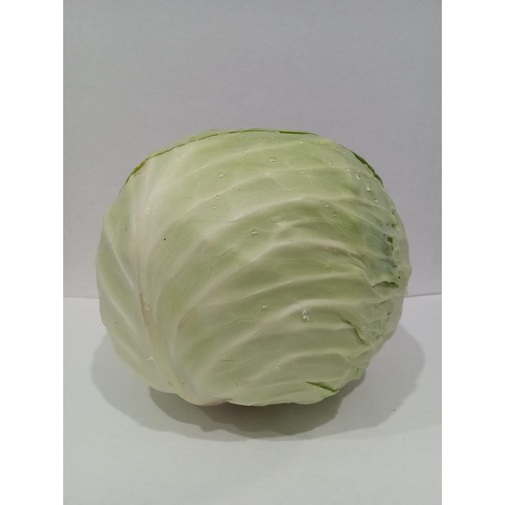 CABBAGE #12 #14 #16
